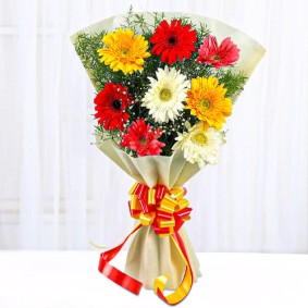 Mixed Gerberas