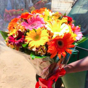 Gerberas bouquet